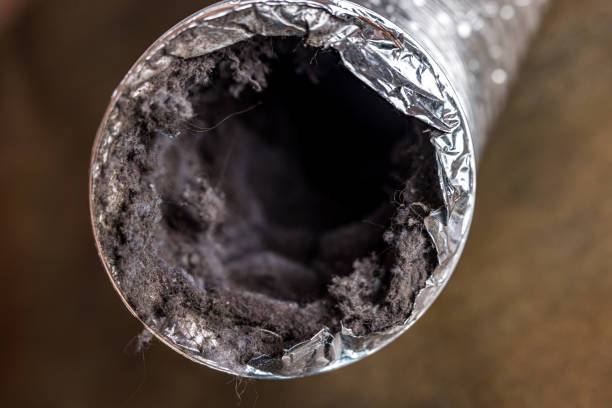 Best HVAC Duct Inspection Services  in Greendale, WI